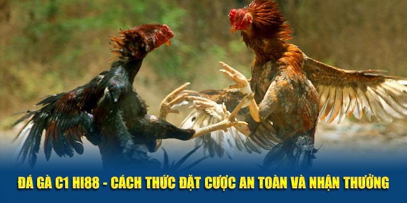 Đá Gà C1 Hi88 - Cách Thức Đặt Cược An Toàn Và Nhận Thưởng