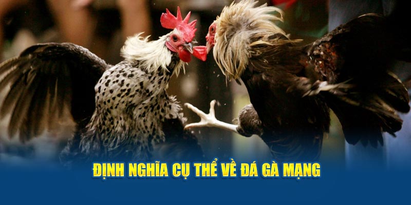 Định nghĩa cụ thể về đá gà mạng 